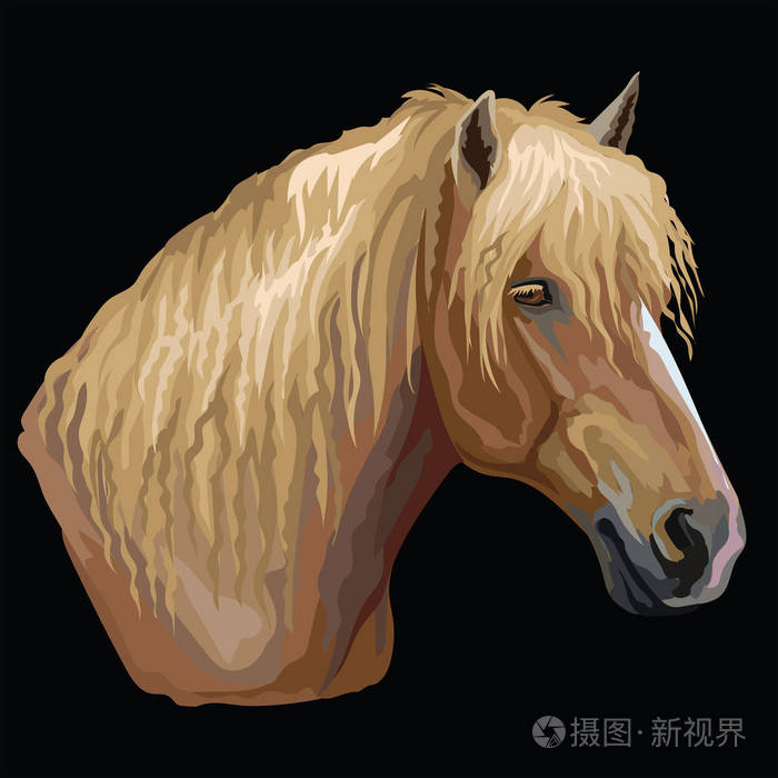 俄罗斯重牵牛的彩色肖像马头轮廓孤立矢量手绘插图黑色背景