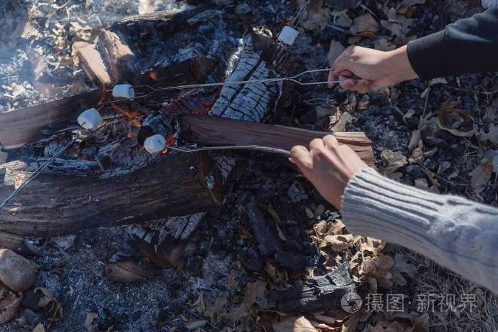 在秋天的森林里阳光明媚的一天小女孩在火上烤着甜棉花糖
