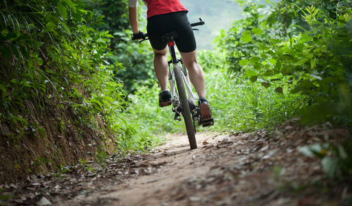 骑自行车的腿骑山地自行车在森林小径上