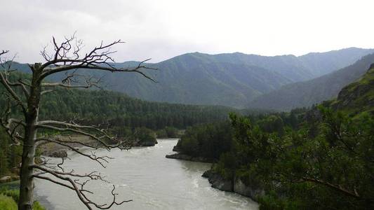 阿尔泰的卡屯山河