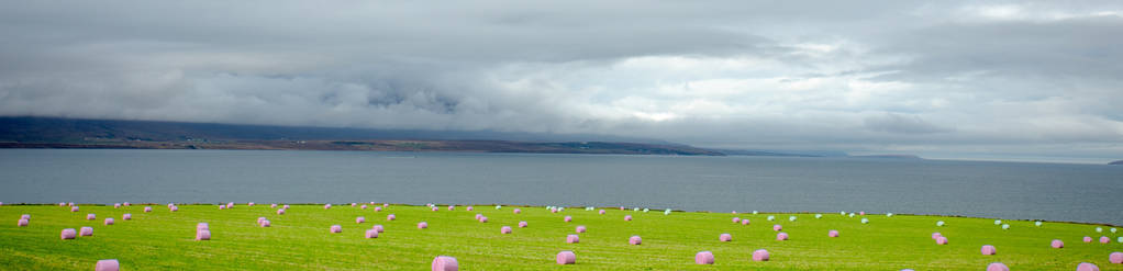 彩色干草堆躺在绿色的田野上。 欧洲冰岛的农业