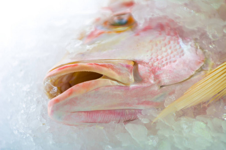 新鲜的冰镇鱼在冰上。