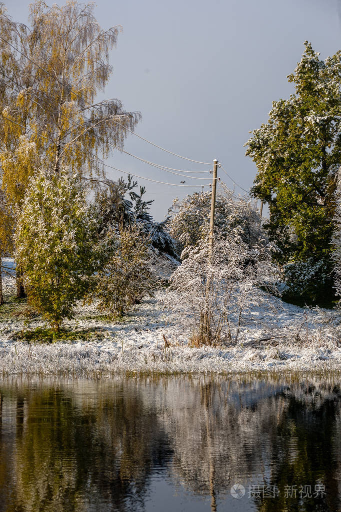 寒冷而平静的湖畔晨景,冬天初雪,还剩下一些绿叶