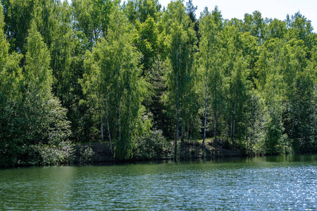 平静的夏日景色，湖边有干净的水和水草，森林附近有绿色的叶子