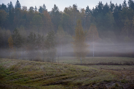 秋天有雾的乡村道路，有薄雾和沥青。 秋天的颜色