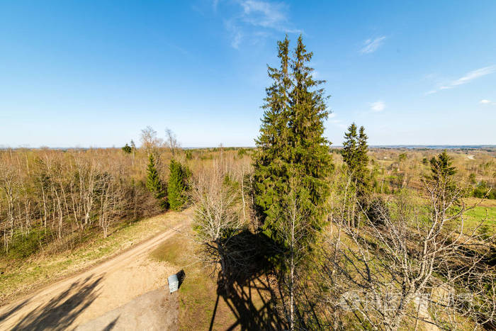 平原简单的乡村春天景观与新鲜的绿色草地和森林蓝天