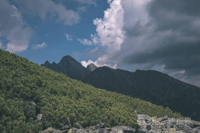 西部喀尔巴阡山，阴天，纹身徒步旅行小径