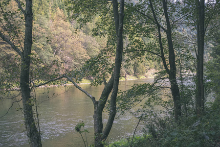 夏天绿水河在树后面。 斯洛伐克杜纳杰的复古外观