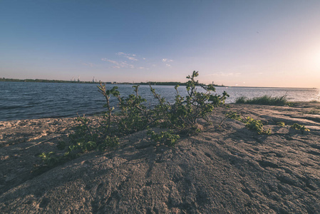 夏季全景海景，有岩石植物和干净的水，阳光明媚，复古的外观