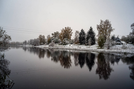 寒冷而平静的湖畔晨景，冬天初雪，还剩下一些绿叶