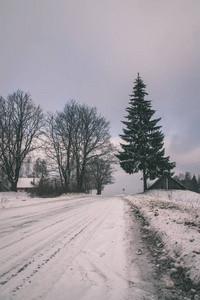 冬天的乡村冰雪覆盖的道路上有轮胎痕迹的外观