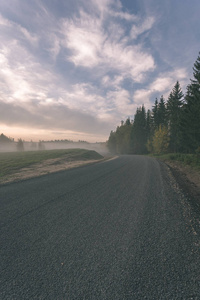 秋天有雾的乡村道路，有薄雾和沥青。