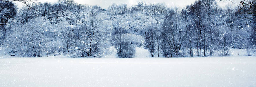 冬天的风景与雪覆盖的树木。自然背景