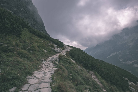 西部喀尔巴阡山，阴天，纹身徒步旅行小径