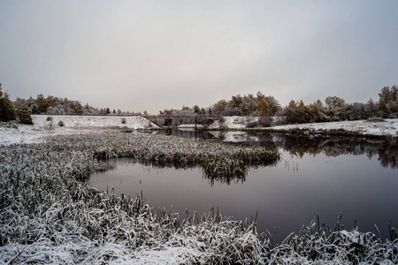 寒冷而平静的湖畔晨景，冬天初雪，还剩下一些绿叶