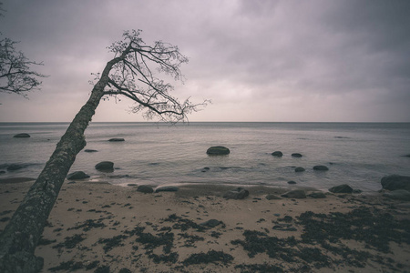 拉脱维亚的岩石海岸线，海水流动，深秋的大岩石。 暗色复古复古