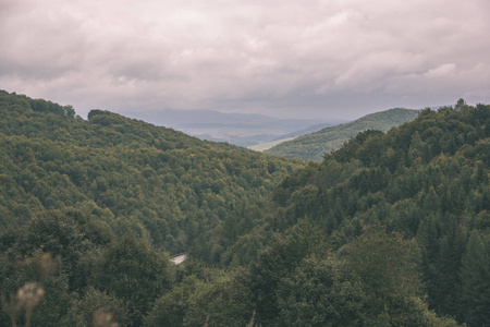 雾蒙蒙的日子在斯洛伐克塔特拉山与森林在秋天。 湿日复古复古