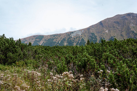 斯洛伐克塔特拉山远足小径，靠近罗哈奇山湖