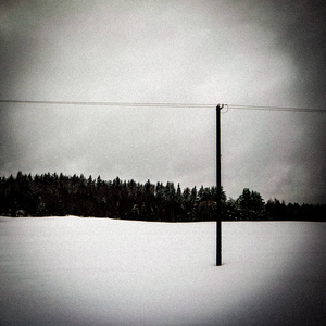 拉脱维亚简单的乡村景观，雪下有田野和树木。 老草伸出手