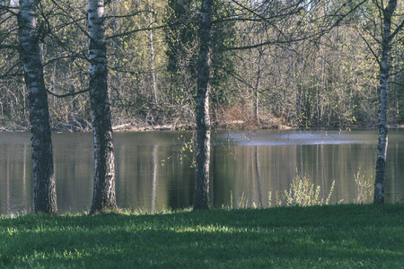 湖岸，在绿色的夏天，在陆地上有明显的树木。 透过的水和前景的绿叶