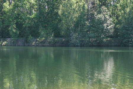 平静的夏日景色，湖边有干净的水和水草，森林附近有绿色的叶子，复古的外观。