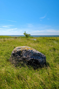 大型花岗岩岩石，单在自然环境中与其他岩石隔离