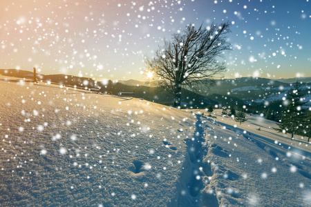 黎明时的冬季圣诞景观。 人类足迹轨迹路径在水晶白色深雪云杉森林木本暗山山脉，大雪花在清澈的蓝天上复制空间背景。