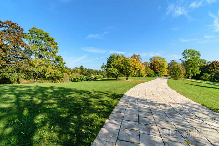 简单的乡村森林道路视野开阔周围有树叶和树木