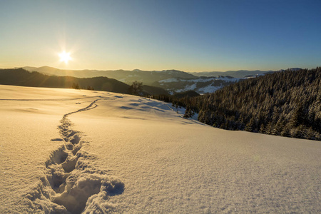 美丽的冬季圣诞景观。 人类足迹轨迹路径在水晶白色深雪穿过空旷的田野，木本黑暗的山丘，在日出时，在晴朗的蓝天上复制空间背景。