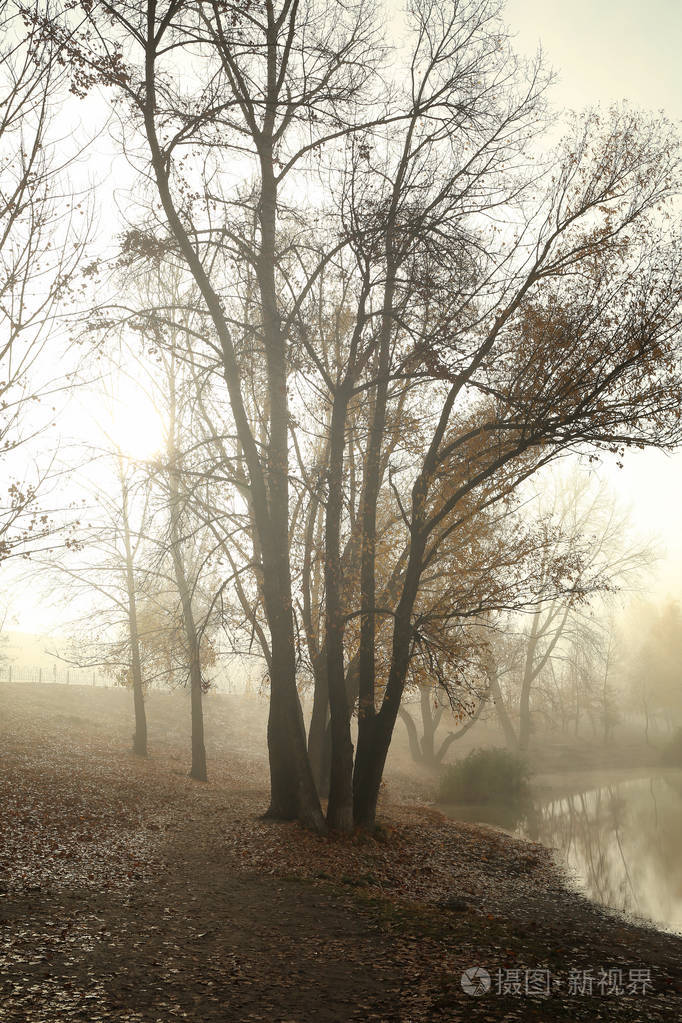 秋天早晨雾蒙蒙的图片图片