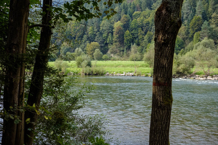 夏天绿水河在树后面。 斯洛伐克