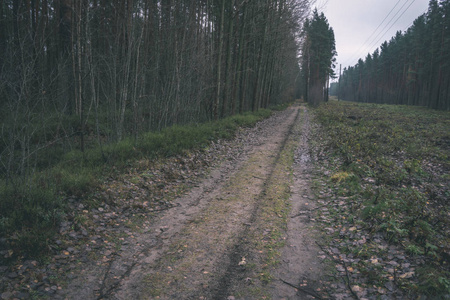 简单的乡村森林道路透视，树叶和树木环绕复古外观