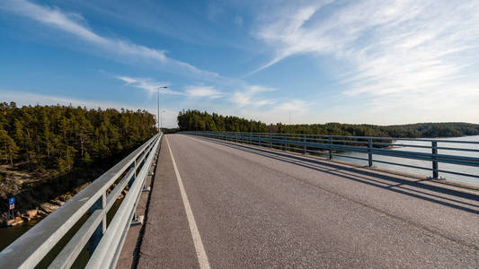 简单的乡村森林道路，视野开阔，周围有树叶和树木