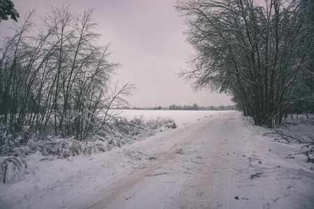 冬天的乡村冰雪覆盖的道路上有轮胎痕迹的外观