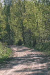 简单的乡村森林道路透视，树叶和树木环绕复古外观