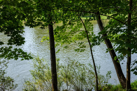 夏天绿水河在树后面。 斯洛伐克