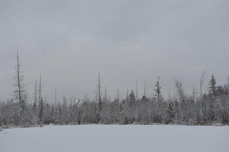 景观。 降雪后，湖面被沼泽土壤包围。