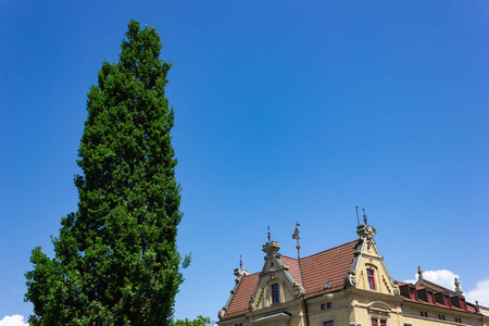 夏季蓝天绿草树木的历史建筑立面