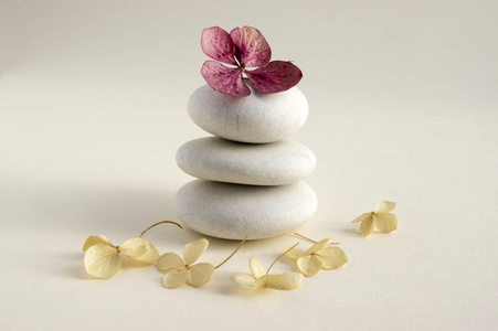 和谐与平衡凯恩斯白色背景岩石上的简单诗意禅宗雕塑五个白色鹅卵石单塔简单干绣球白红花
