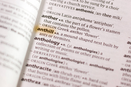 字典中用记号笔突出显示的单词或短语Anthill。