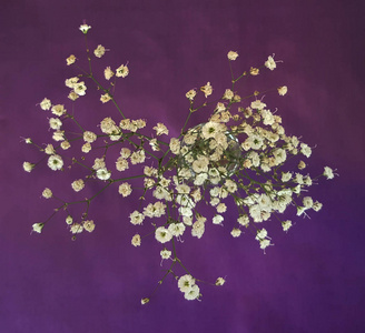 紫罗兰背景下花瓶中的野花