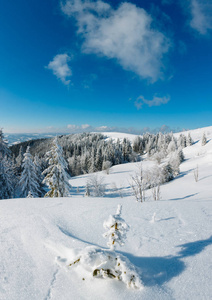 冬季平静的山景，山坡上有美丽的霜树和雪堆乌克兰喀山脉