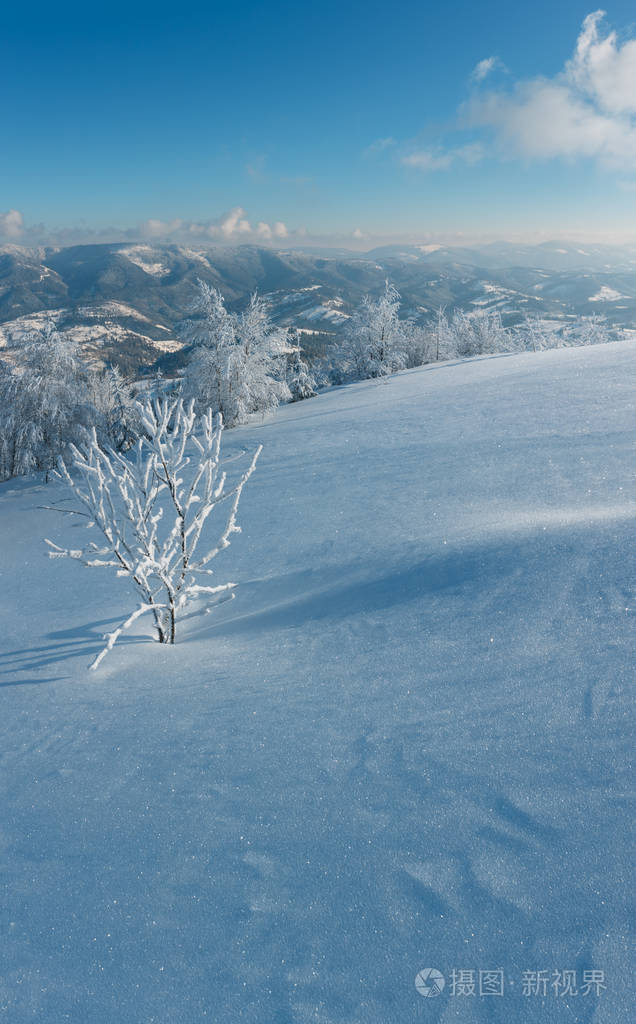 早晨冬天平静的山景山坡上有美丽的霜树和雪堆乌克兰喀山脉