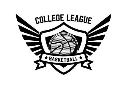 有翅膀的篮球运动标志. 海报标识标志标志t恤设计元素. 矢量插图照片