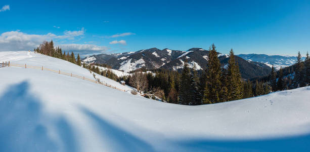 冬天的早晨，风景如画的山顶，山顶上覆盖着农场的积雪和一些枯萎的防风树乌克兰喀尔巴阡山脉，宁静，宁静，德森布罗尼亚村，农村郊区