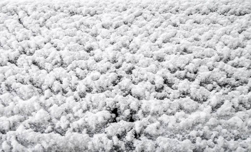 白雪公主特写背景