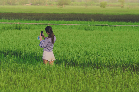 年轻女子在稻田里用智能手机拍照