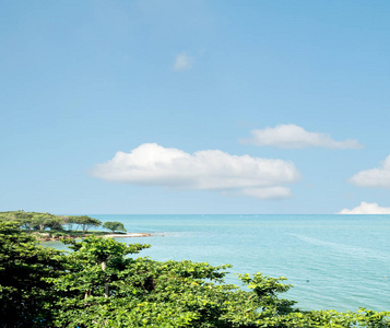 海景海天树图片