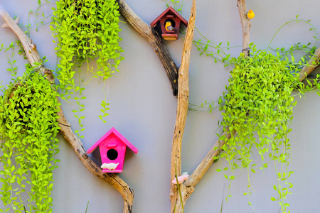 花园中的木制鸟舍，挂在混凝土墙上，背景
