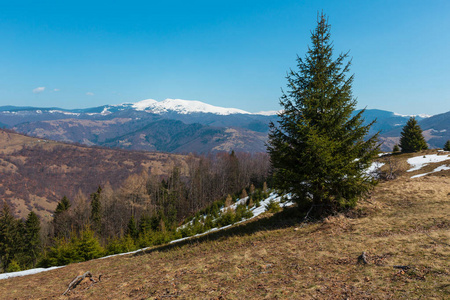 早春喀尔巴阡山脉高原景观，积雪覆盖山脊顶部在遥远的乌克兰。